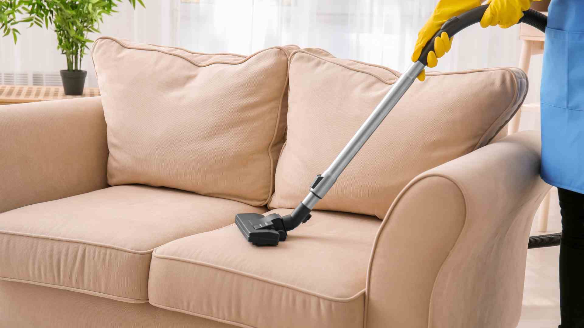 Upholstery Cleaning